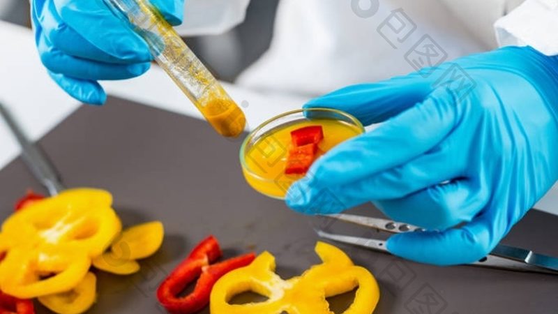 薯片生产线揭秘：从原料到成品，揭秘美味背后的秘密